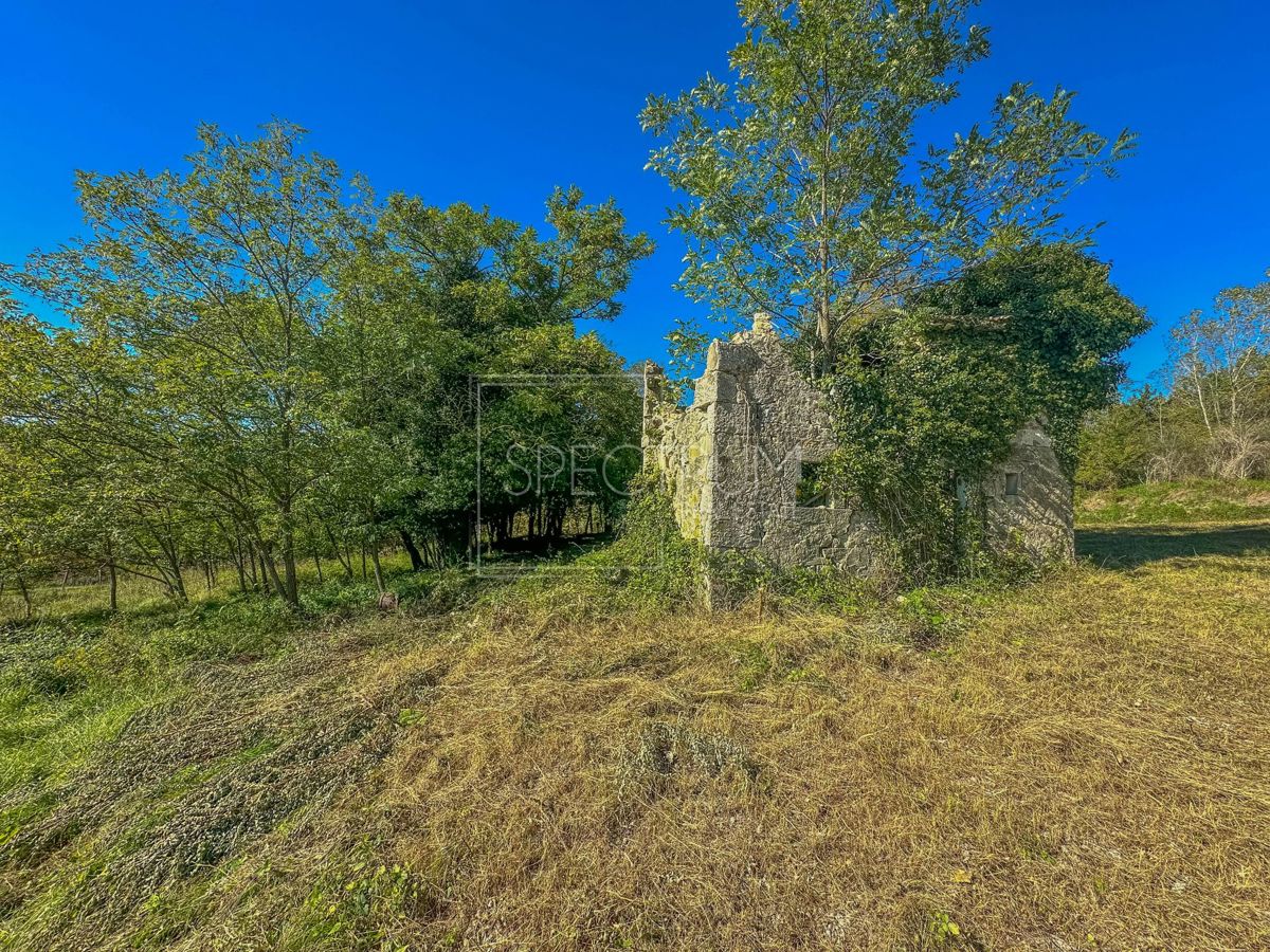 Okolica Grožnjana, kamnita hiša z veliko parcelo