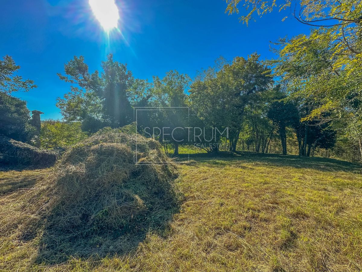 Okolica Grožnjana, kamnita hiša z veliko parcelo