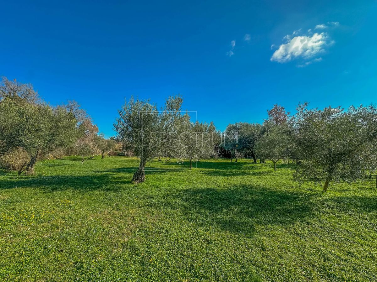 Območje Brtonigle, samostojna hiša na mirni lokaciji