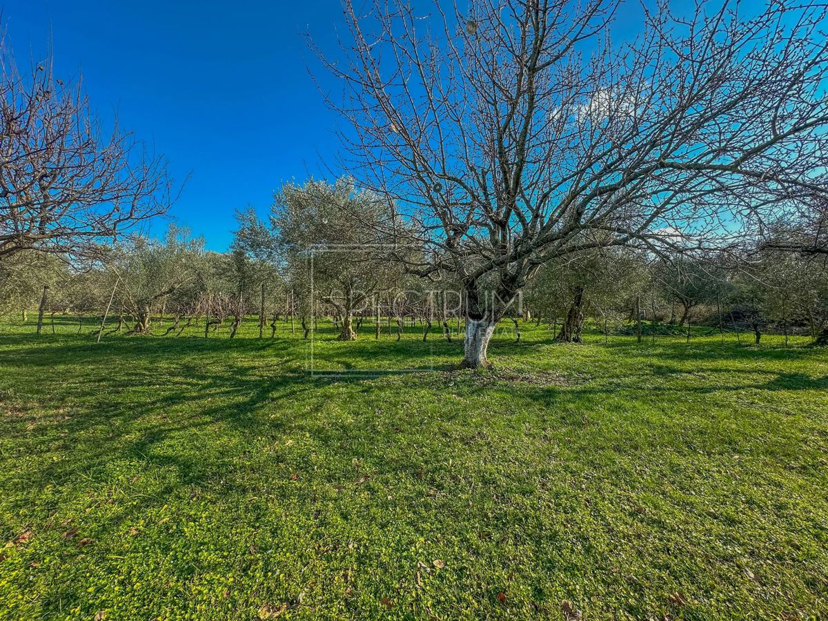 Območje Brtonigle, samostojna hiša na mirni lokaciji