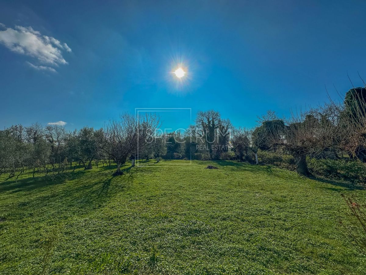 Območje Brtonigle, samostojna hiša na mirni lokaciji