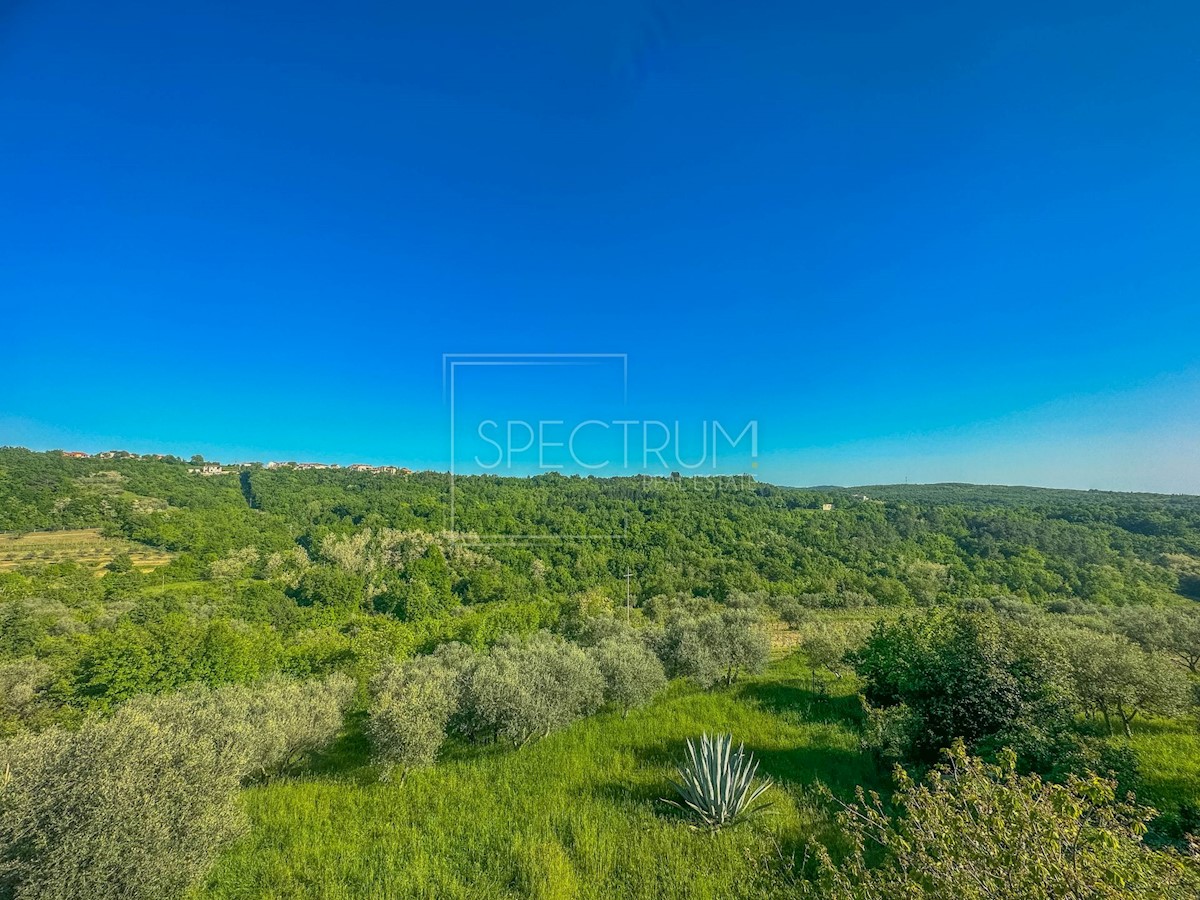 Okolica Buj, vila z bazenom in lepim razgledom