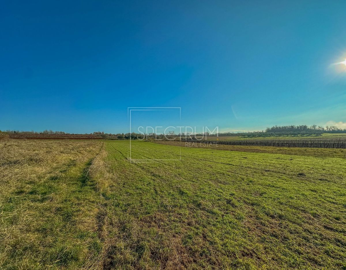 Območje Brtonigle, prostorno kmetijsko zemljišče