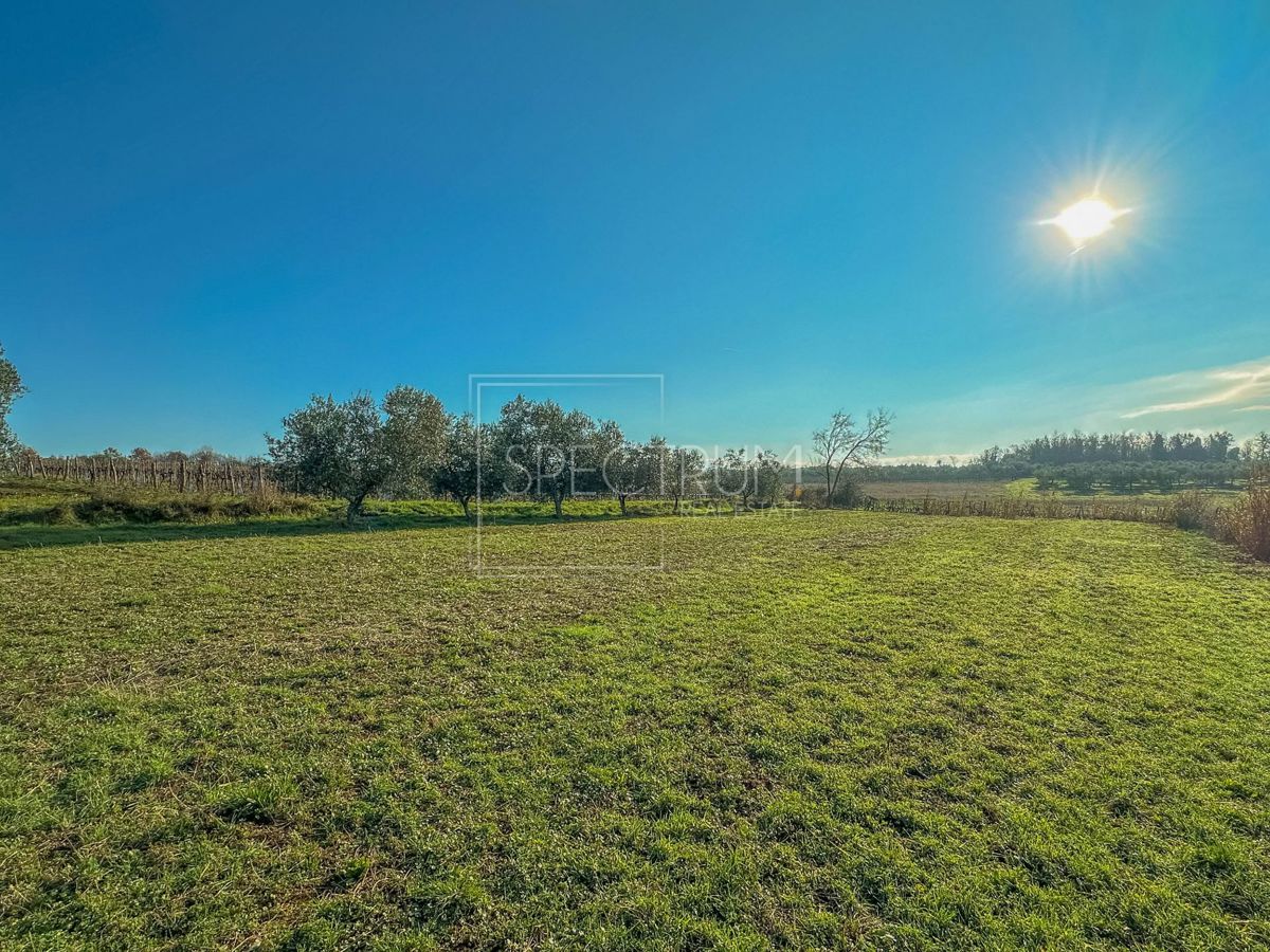 Območje Brtonigle, prostorno kmetijsko zemljišče