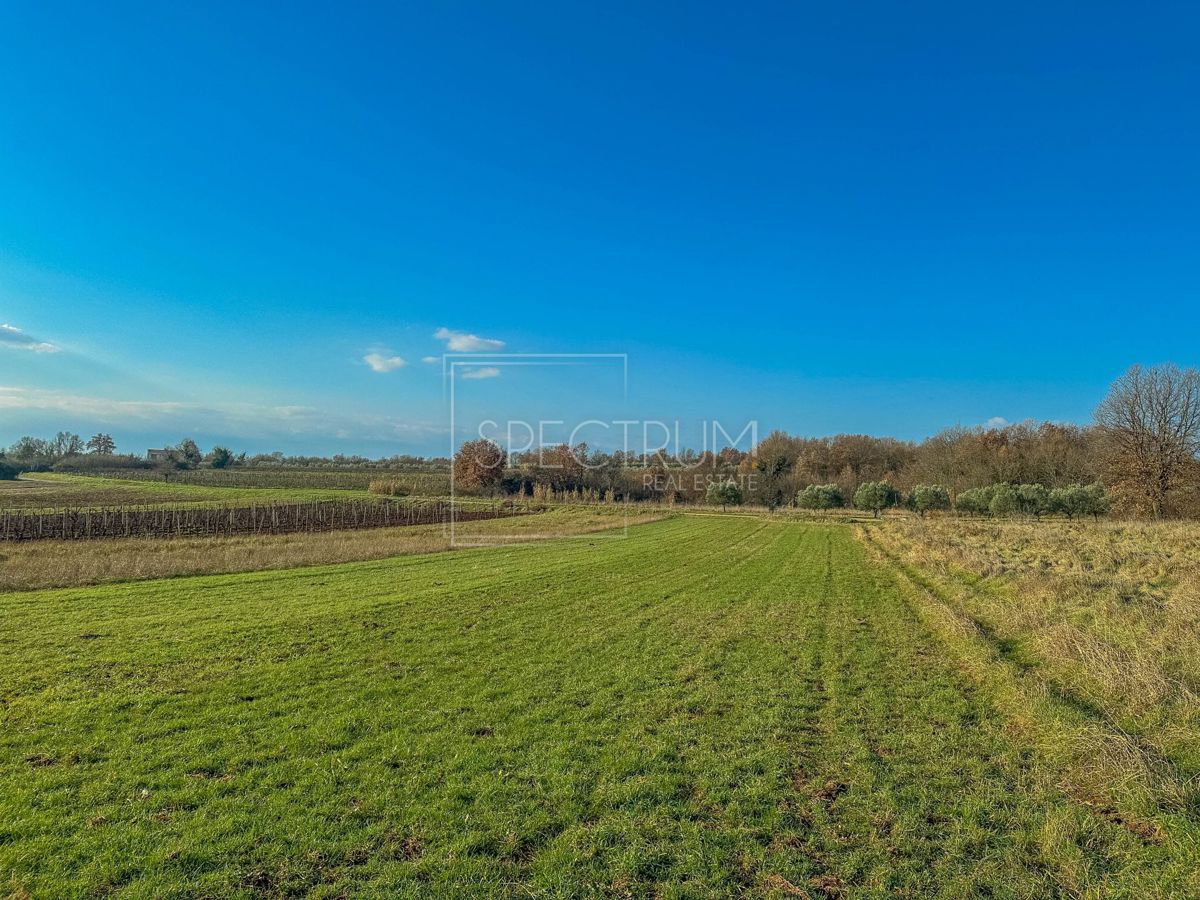 Območje Brtonigle, prostorno kmetijsko zemljišče