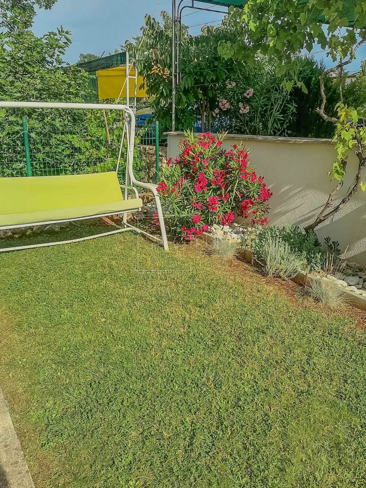 Novigrad okolica, 2 apartmaja 350 m od morja!