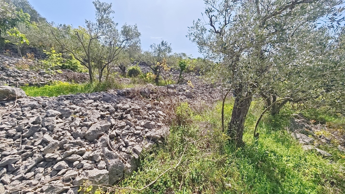 Vrbnik, zazidljivo zemljišče s projektom in gradbenim dovoljenjem!