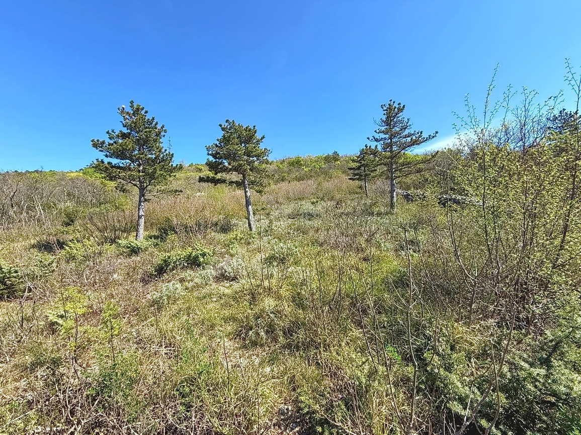 Crikvenica, zanimivo gradbeno zemljišče z razgledom!