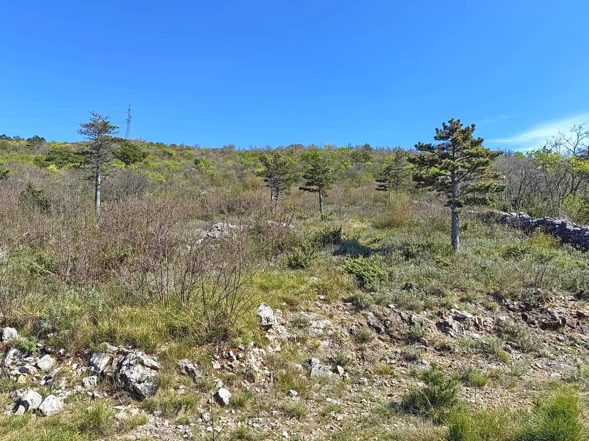 Crikvenica, zanimivo gradbeno zemljišče z razgledom!