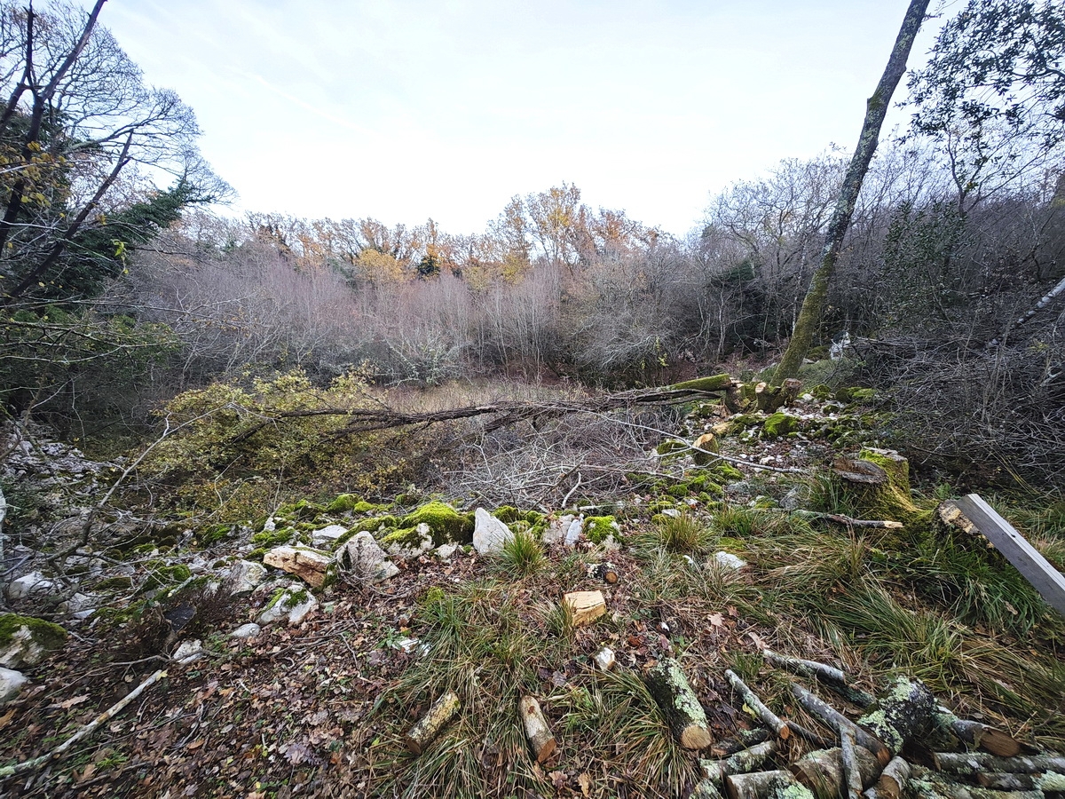 Okolica Malinske, prostorno gradbeno zemljišče na mirni lokaciji!