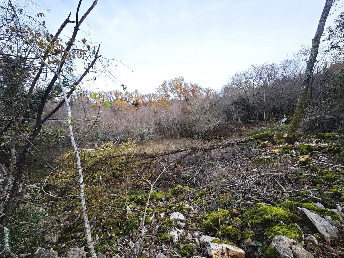 Okolica Malinske, prostorno gradbeno zemljišče na mirni lokaciji!