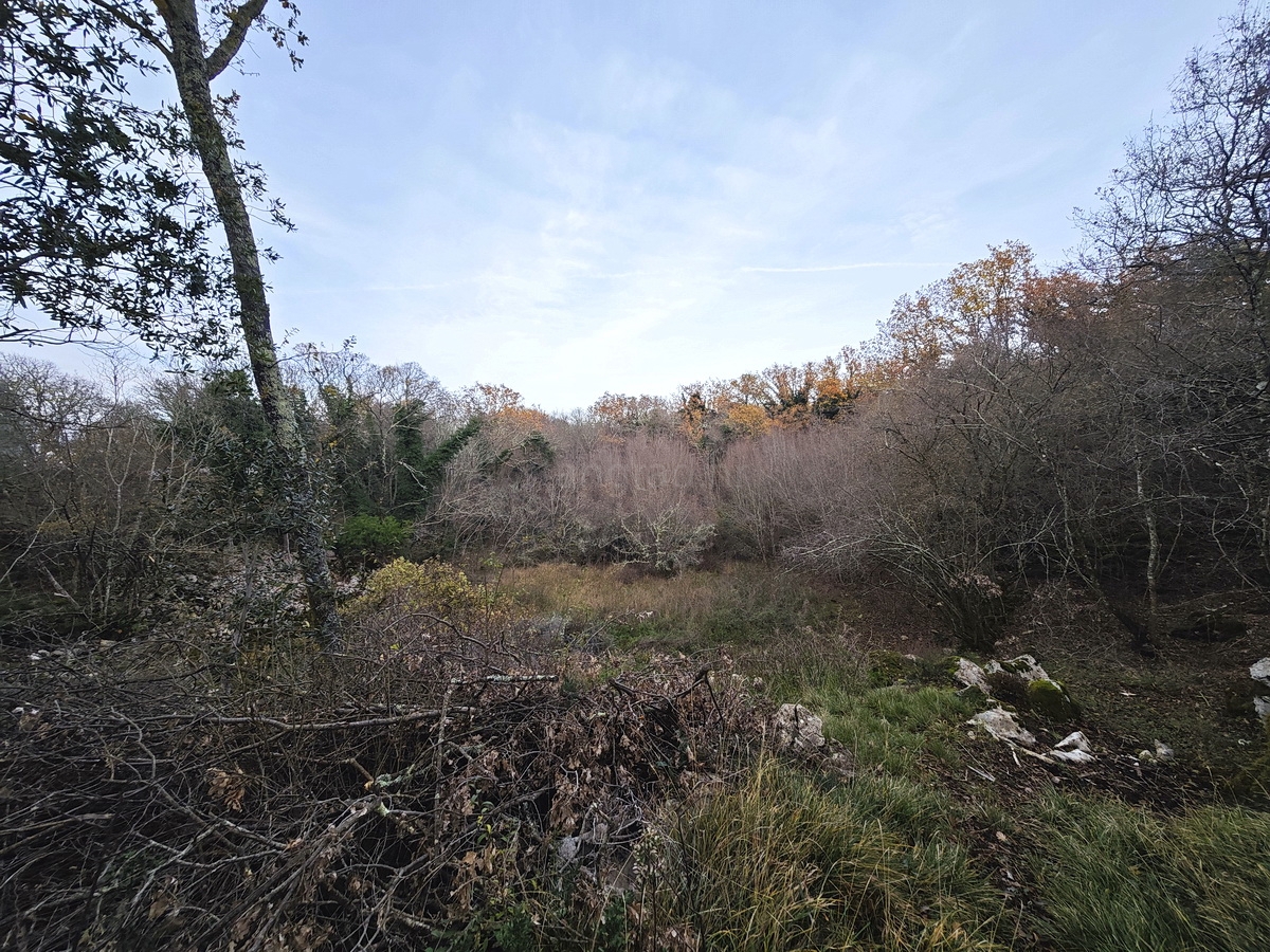 Okolica Malinske, prostorno gradbeno zemljišče na mirni lokaciji!