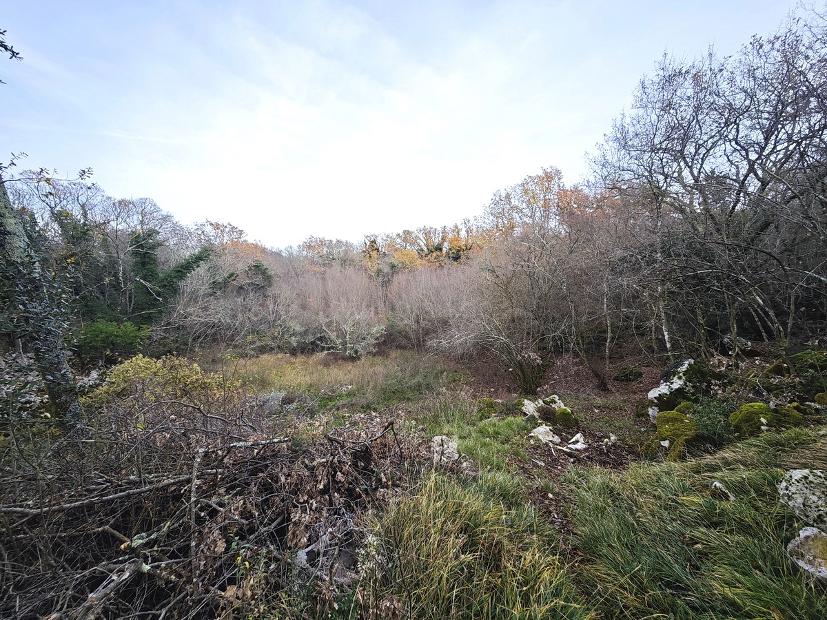 Okolica Malinske, prostorno gradbeno zemljišče na mirni lokaciji!