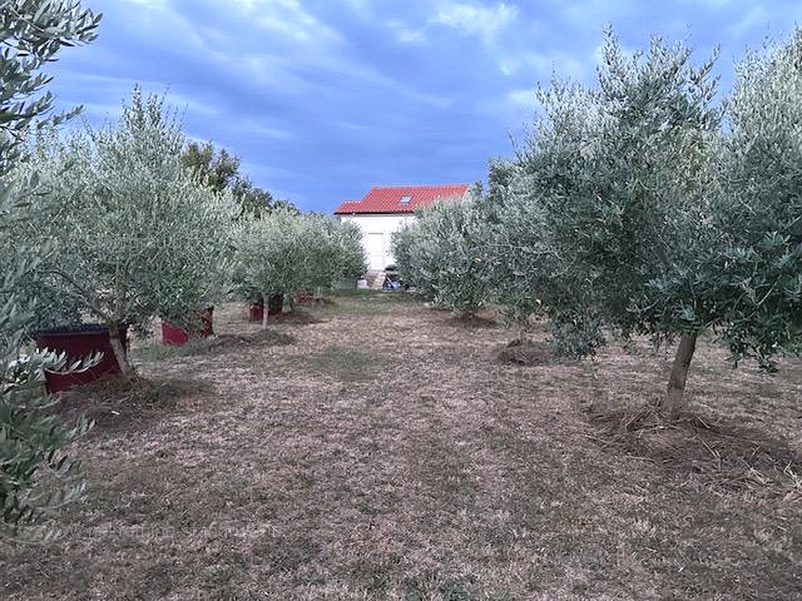 Malinska, samostojna hiša s sadovnjakom!