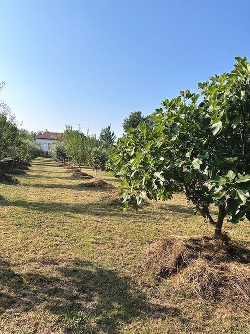 Malinska, samostojna hiša s sadovnjakom!