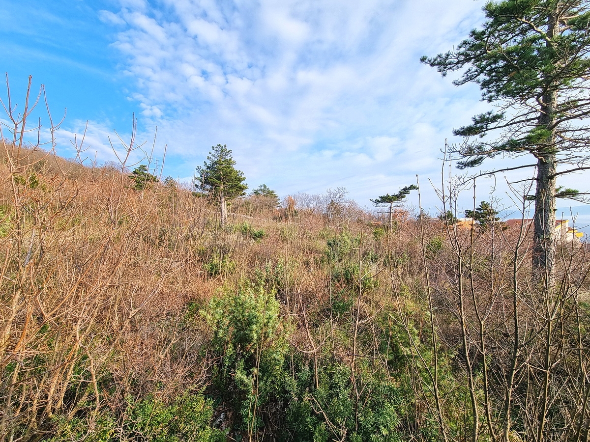 Crikvenica, zgradbena parcela z razgledom na morje!