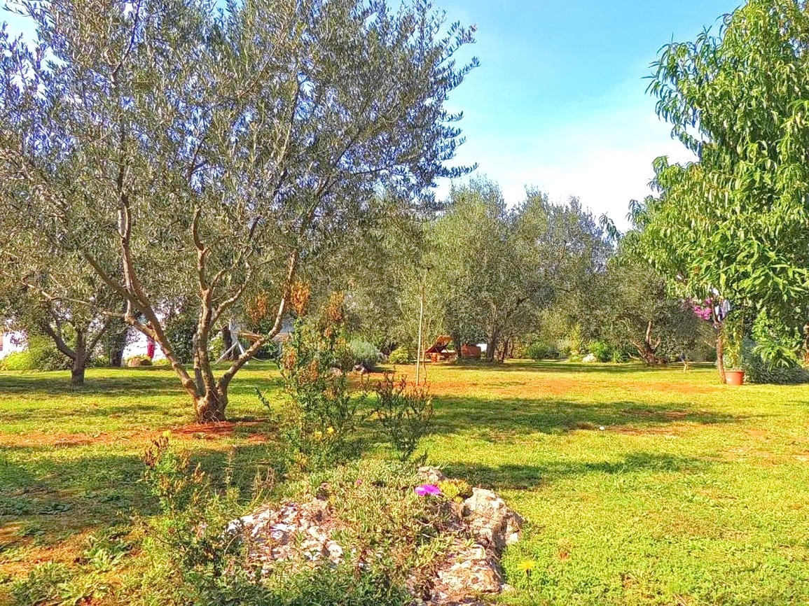 Okolica Krka, samostojna hiša s prostornim vrtom in razgledom!