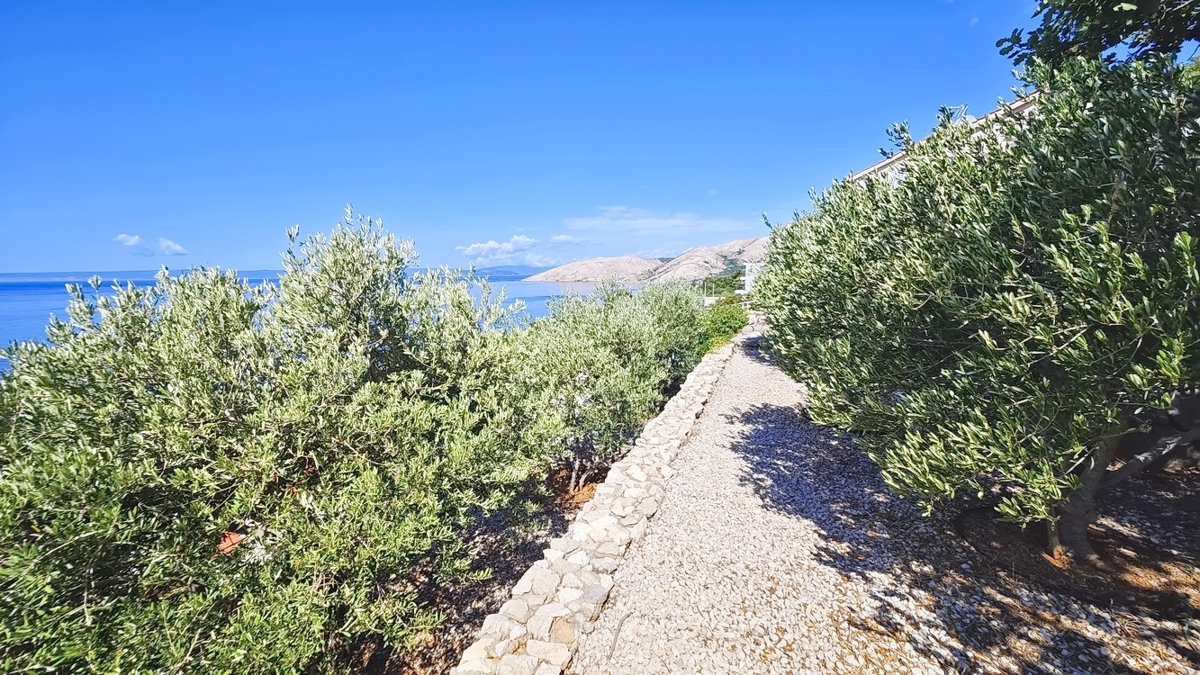 Območje Punta, ekskluzivna vila v pečini s panoramskim pogledom na morje!