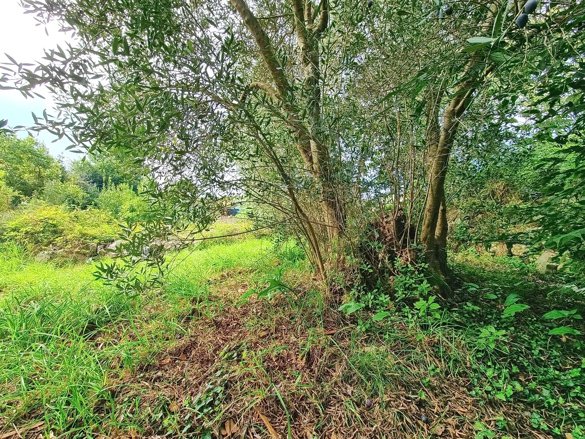 Malinska, prostorno gradbeno zemljišče na mirni lokaciji!