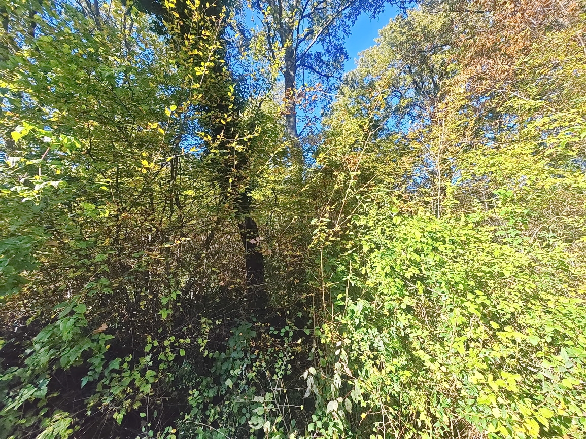 Okolica Vrbnika, gradbeno zemljišče na mirni lokaciji!