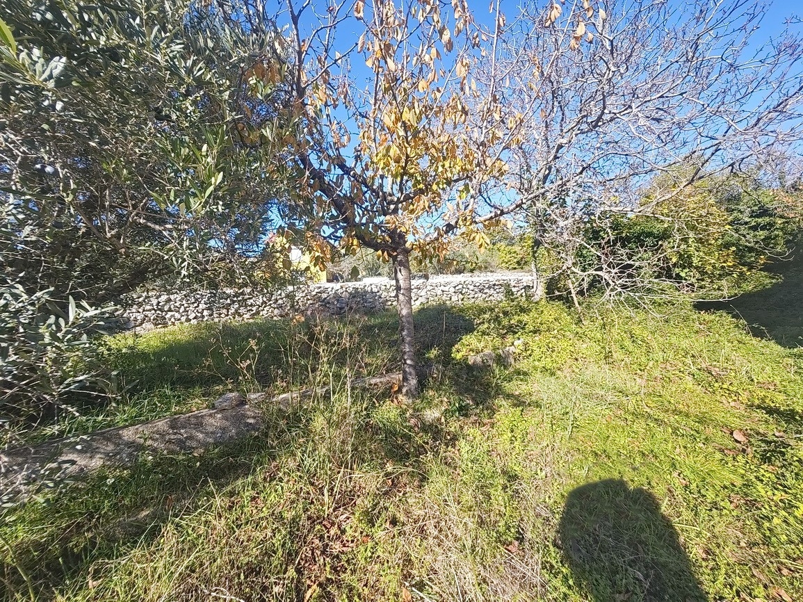 Šilo, hiša za prenovo na mirni lokaciji!