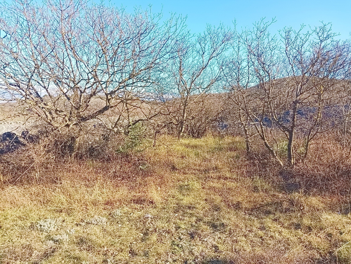 Vrbnik, prostorno gradbeno zemljišče s pogledom na morje!