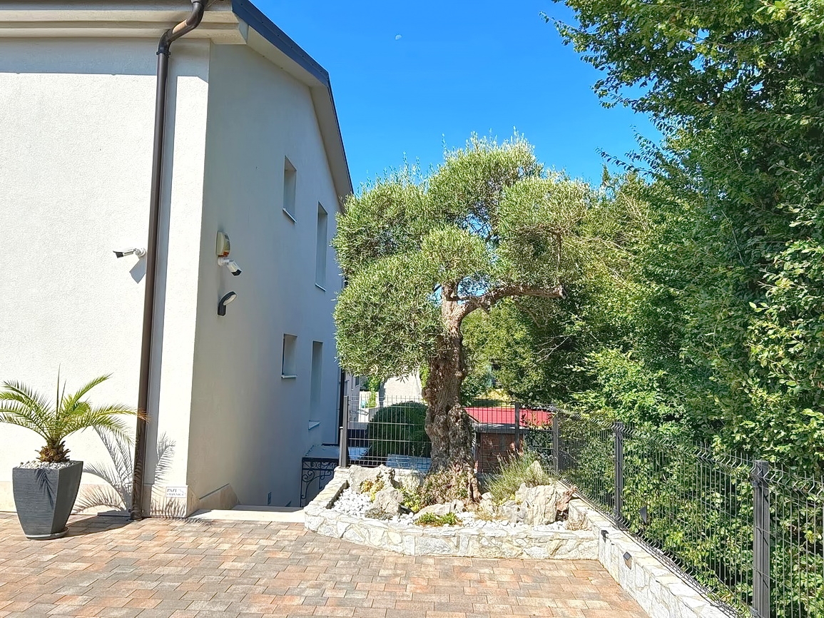 Dobrinj, čudovita vila z bazenom in prostornim vrtom!