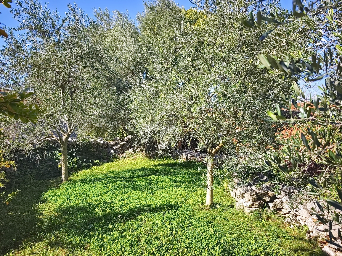 Območje Malinske, prenovljena kamnita hiša s pogledom na morje!