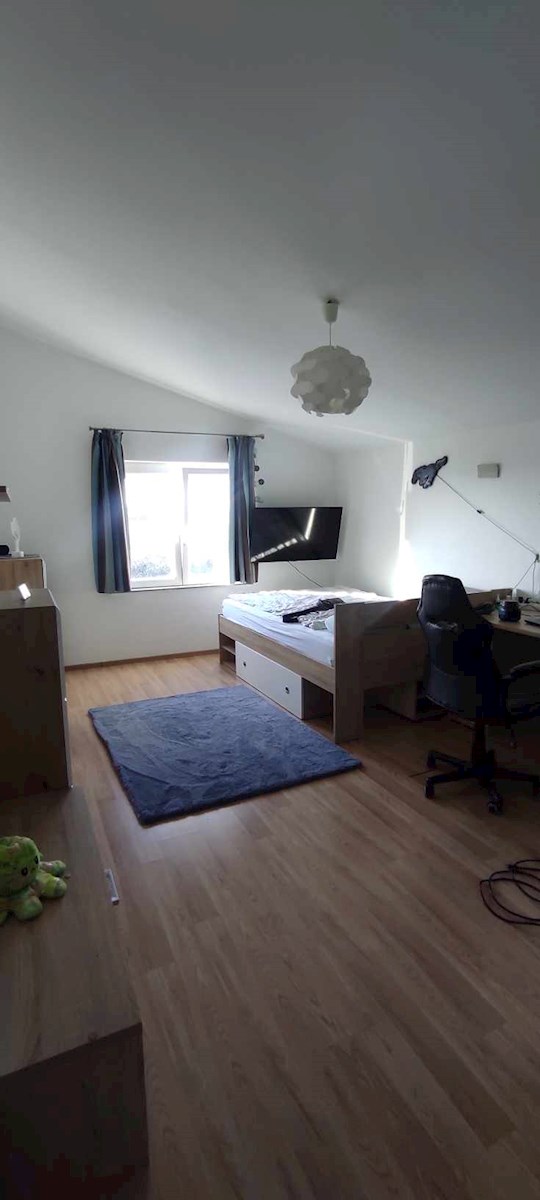 Hiša za družino, Šišan
