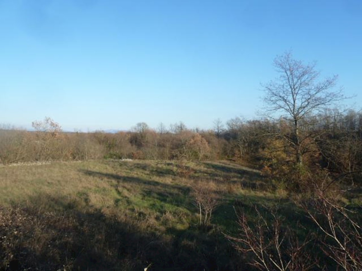 Gradbeno zemljišče, osrednja Istra, Prhati, 700 m2