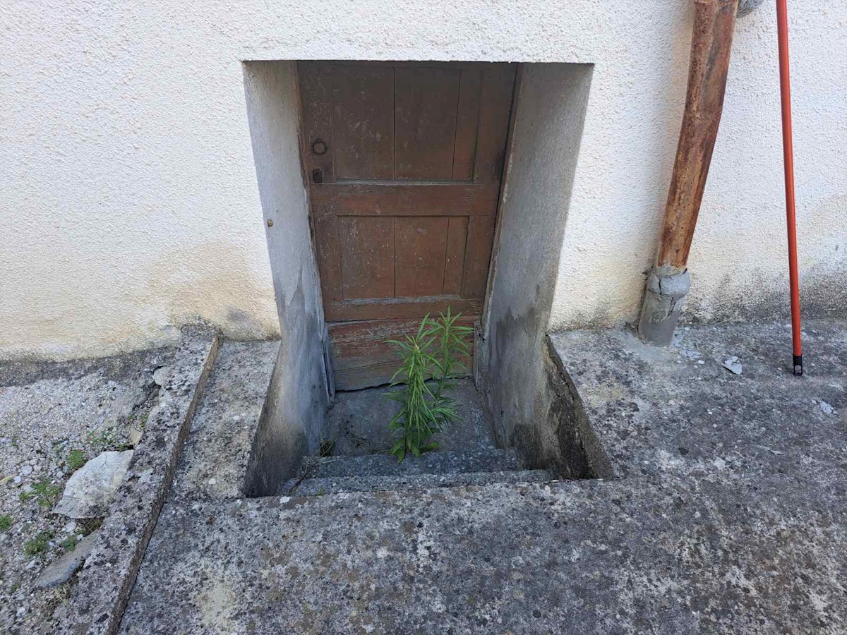 Hiša 120m2 + klet 60m2