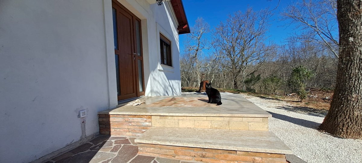 Hiša ŽELISKI, GOLEŠOVO