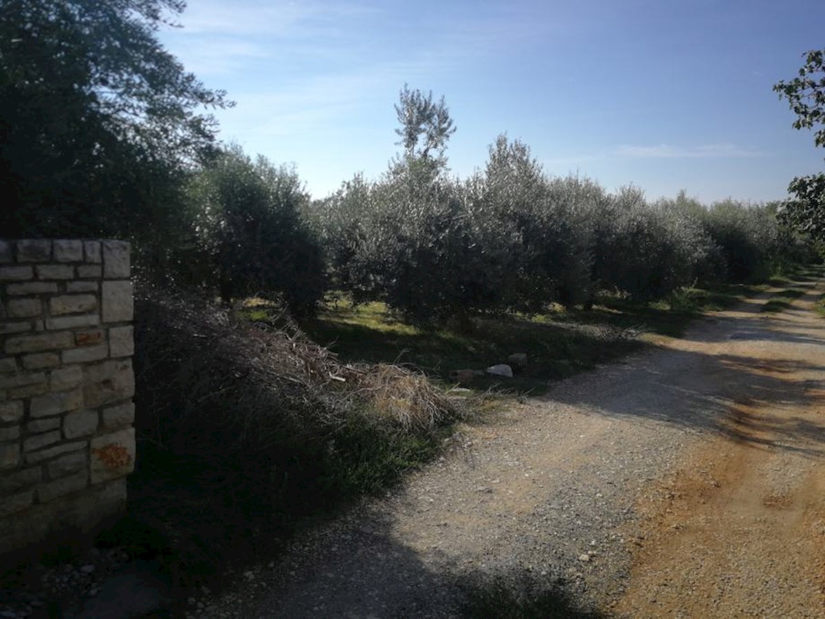 Pula, Busoler, 730 m2, za gradnjo hiše