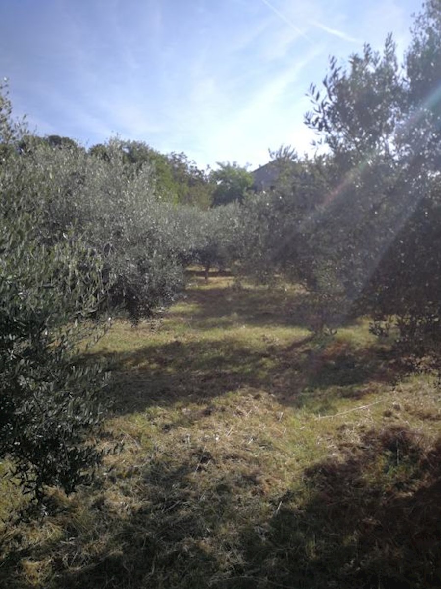 Pula, Busoler, 730 m2, za gradnjo hiše