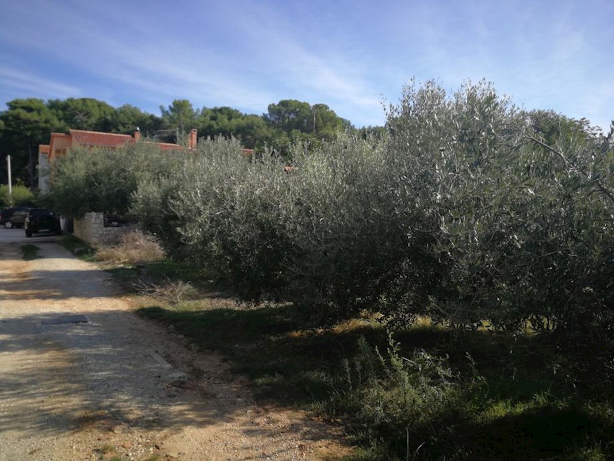 Pula, Busoler, 730 m2, za gradnjo hiše