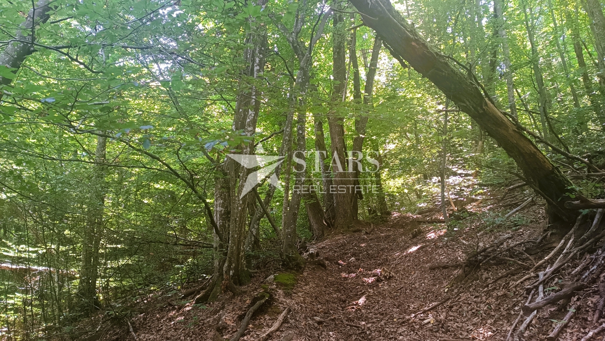 Slunj - Veliko zemljišče s potencialom - mirna lokacija v bližini Slunja