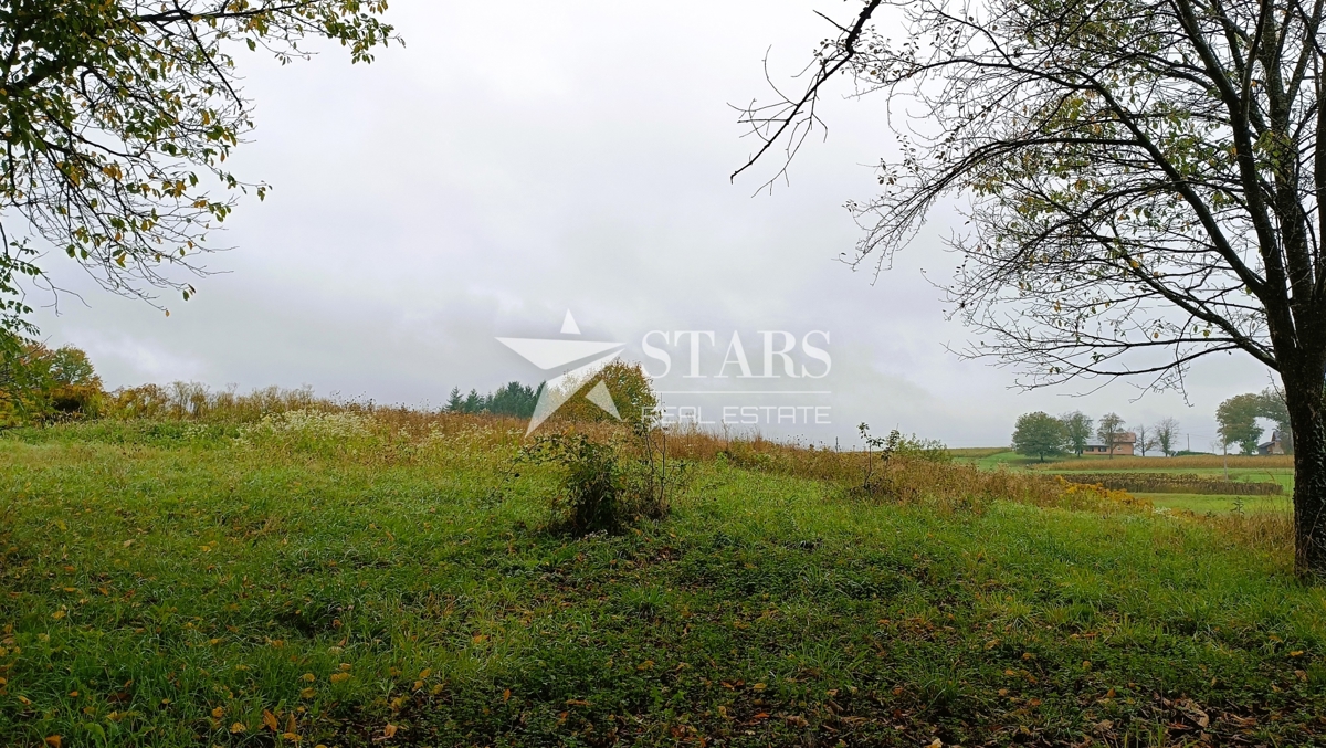 Josipdol - Two wooden houses with 4 apartments on a large plot of land