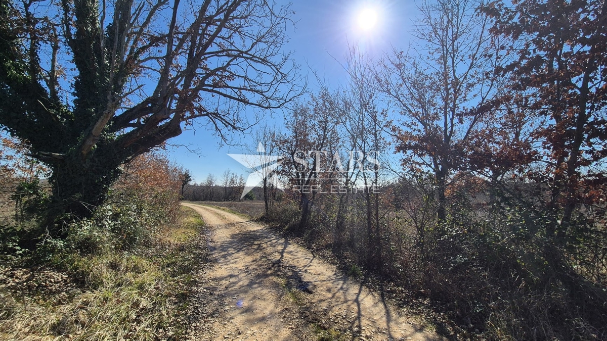 Istra, Višnjan – Žikovići – zazidljivo zemljišče 836 m²