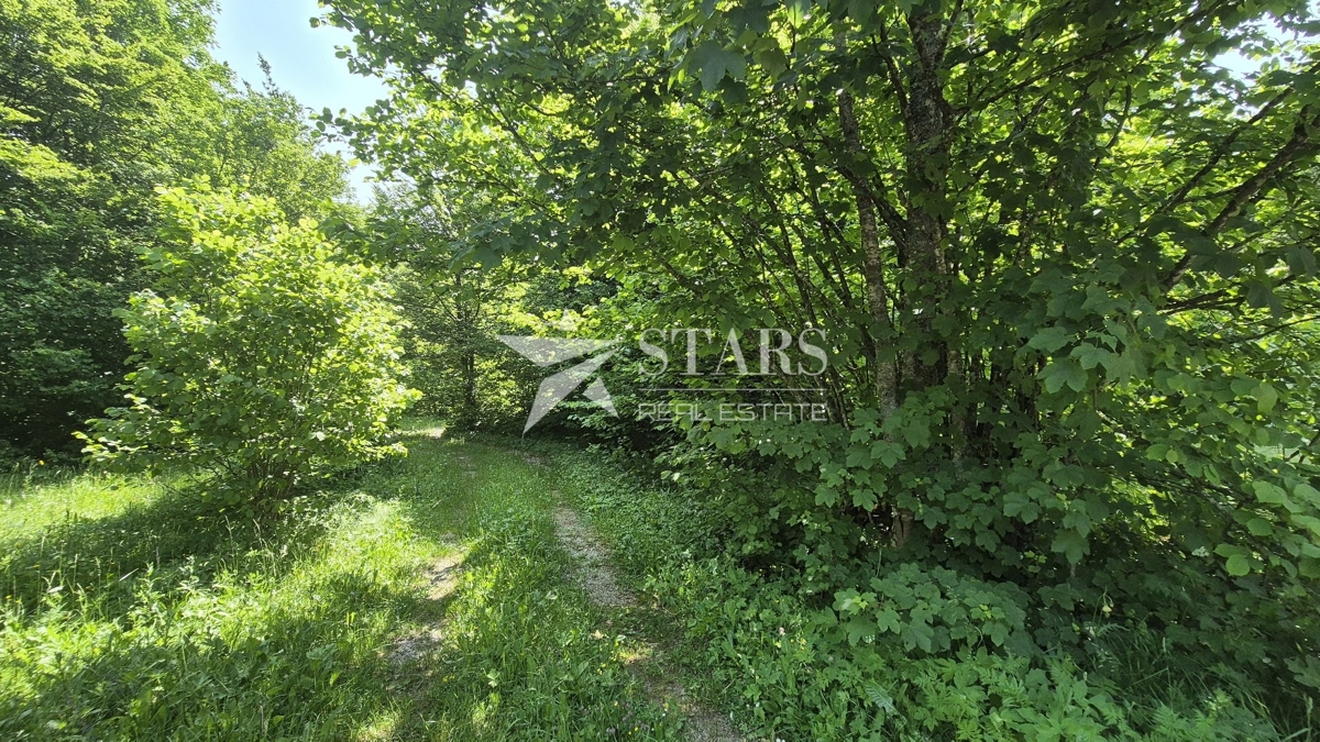 Gorski kotar, Delnice – Vikend naselje Polane, gradbeno zemljišče 2564 m²