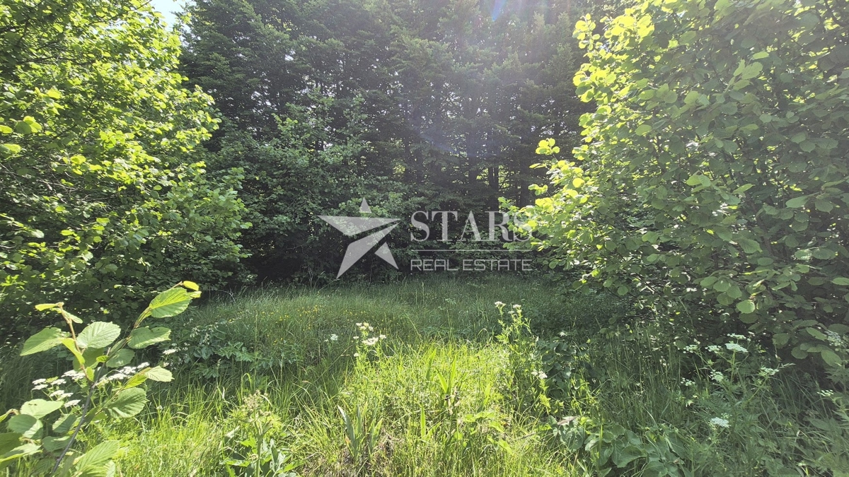 Gorski kotar, Delnice – Vikend naselje Polane, gradbeno zemljišče 2564 m²