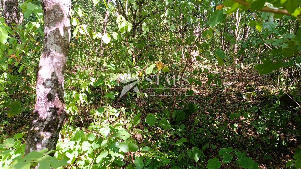 Vas Popovo - Kmetijska zemljišča - 53.418 m² (gozd, njive, pašniki, travniki)