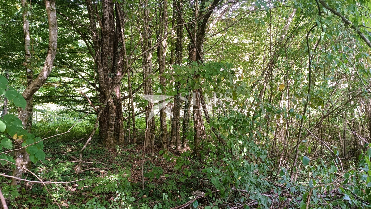 Vas Popovo - Kmetijska zemljišča - 53.418 m² (gozd, njive, pašniki, travniki)