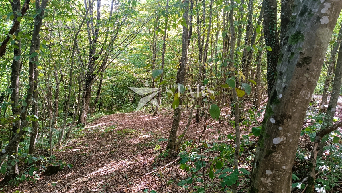 Vas Popovo - Kmetijska zemljišča - 53.418 m² (gozd, njive, pašniki, travniki)