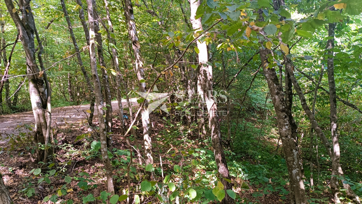 Vas Popovo - Kmetijska zemljišča - 53.418 m² (gozd, njive, pašniki, travniki)