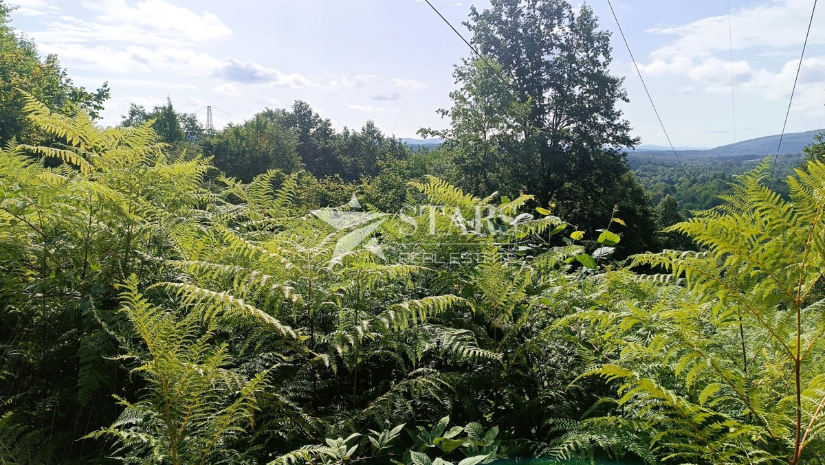 Vas Popovo - Kmetijska zemljišča - 53.418 m² (gozd, njive, pašniki, travniki)
