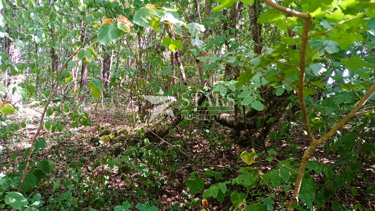 Vas Popovo - Kmetijska zemljišča - 53.418 m² (gozd, njive, pašniki, travniki)