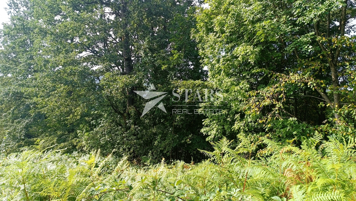 Vas Popovo - Kmetijska zemljišča - 53.418 m² (gozd, njive, pašniki, travniki)