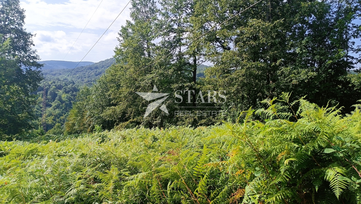 Vas Popovo - Kmetijska zemljišča - 53.418 m² (gozd, njive, pašniki, travniki)
