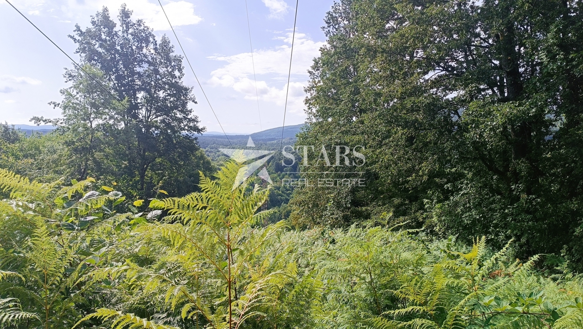 Vas Popovo - Kmetijska zemljišča - 53.418 m² (gozd, njive, pašniki, travniki)