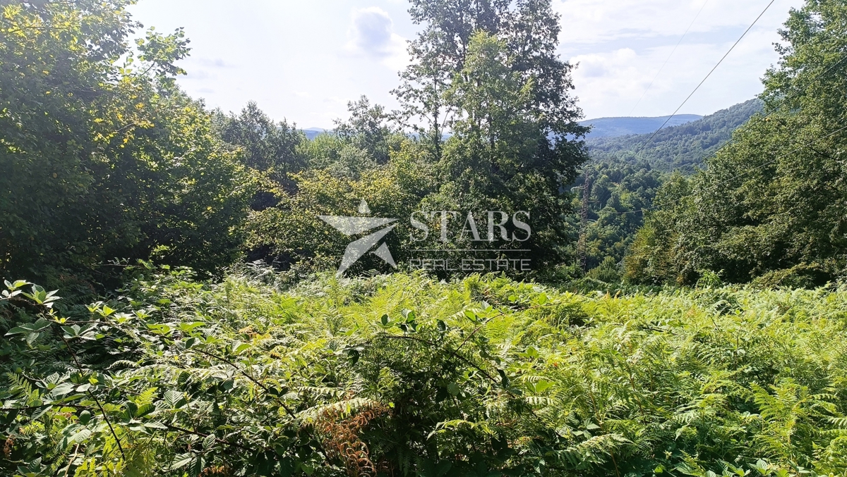 Vas Popovo - Kmetijska zemljišča - 53.418 m² (gozd, njive, pašniki, travniki)